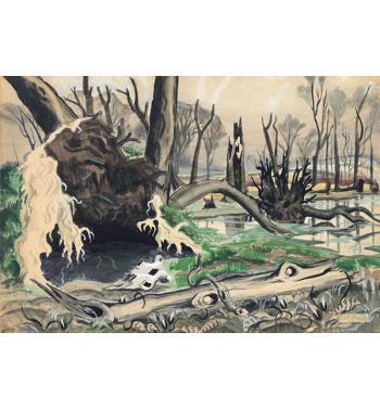 Swamp in Spring