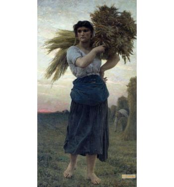 The Gleaner 1877