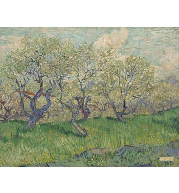 Orchard In Blossom