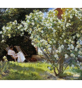 Marie In A Deckchair Reading