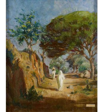 Landscape In Tangier