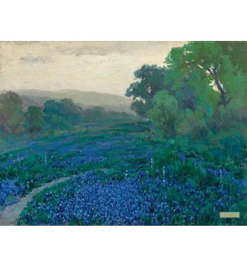Bluebonnets, Cloudy Morning, San Antonio, Texas