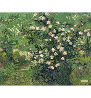 Roses 1889