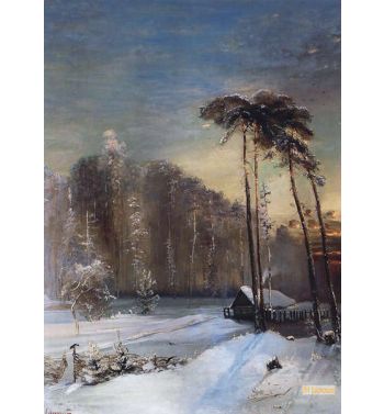 The Woods In Frost