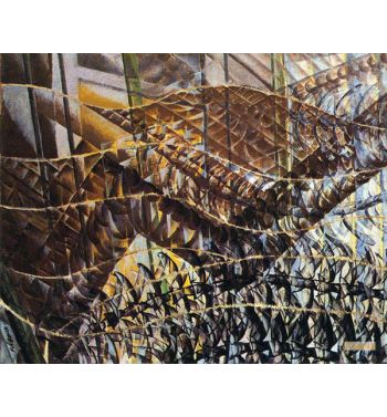 Swifts Paths Of Movement Dynamic Sequences 1913