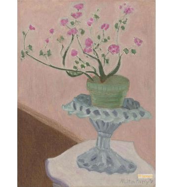 Flowering Plant