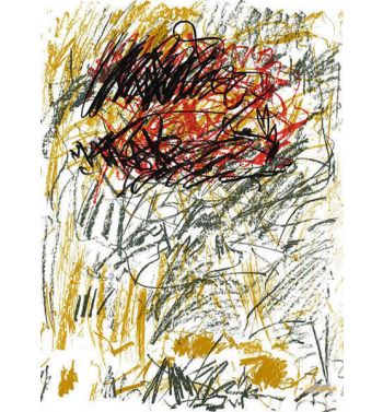 Flower III, From Bedford Series, 1981