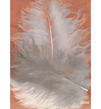 Feathers, White And Grey 1942