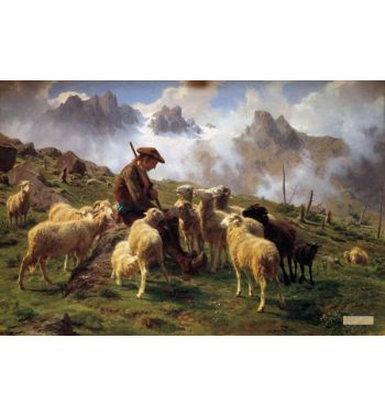 An Alpine Shepherd Giving Salt To His Sheep