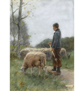 A Shepherd And His Flock