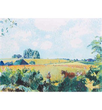 Harvest Field
