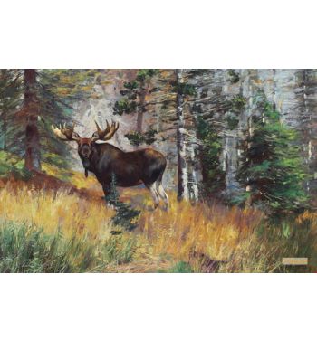 Moose in a Landscape