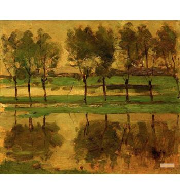 Willow Trees With Sun