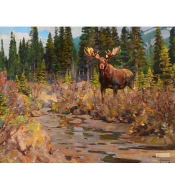 Bull Moose
