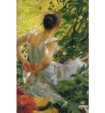Woman Dress
