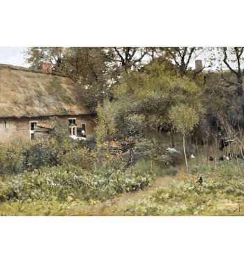The Vegetable Garden