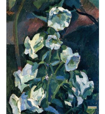 Flowers, 1909