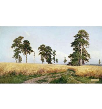 The Field Of Wheat 1878