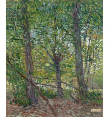 Trees 
