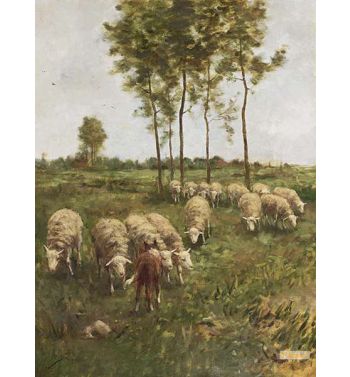 Watching The Flock
