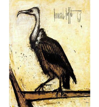 Le Museum, Condor