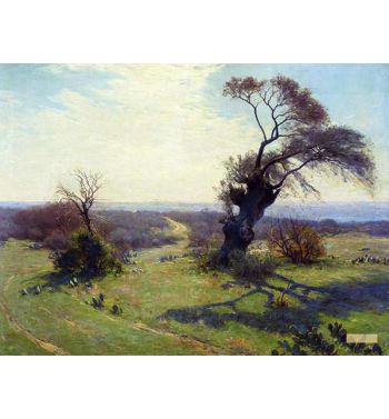 Spring Morning
