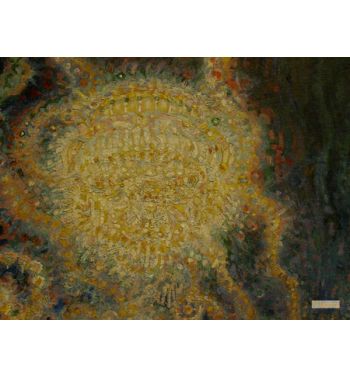 Bal Tabarin 1907, 2