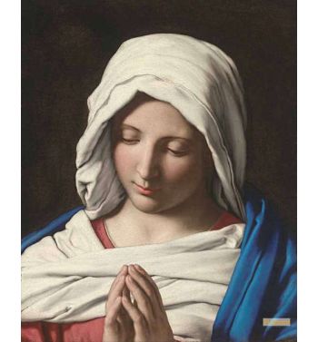 Madonna In Prayer