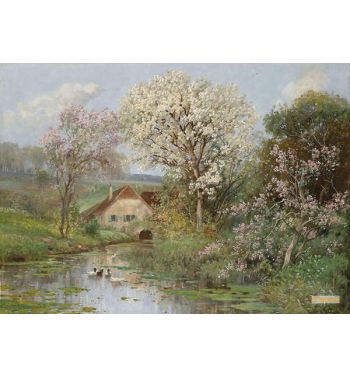 Fruhling am Muhlbach