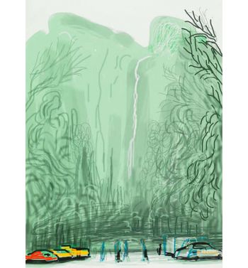 Yosemite No, 13, 2010