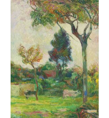 Two Cows In The Meadow