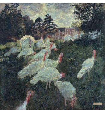 The Turkeys