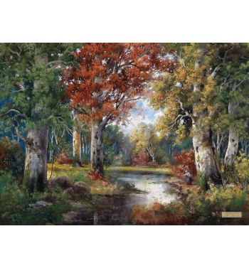 Autumn Woodland