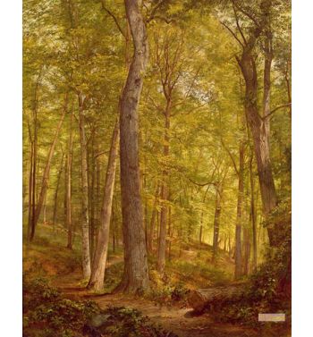 June Woods, Pennsylvania, 1864