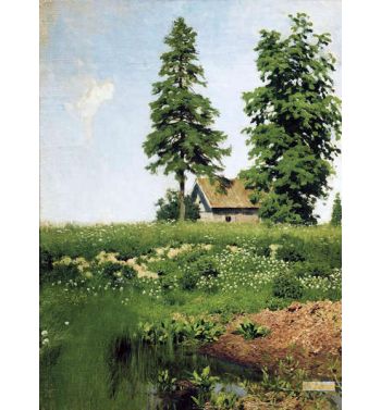 Hut On A Meadow