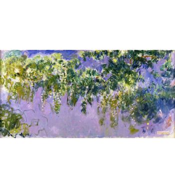 Wisteria 1917-1920