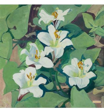 Easter Lillies