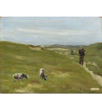 Meadow With Farmhouse And Grazing Goats
