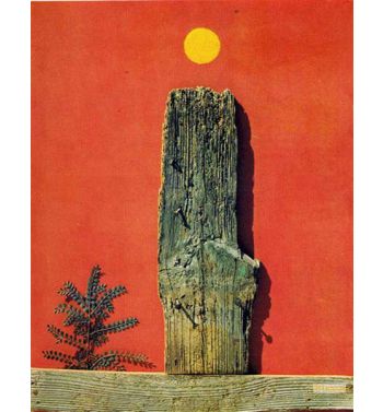 Red Forest 1970