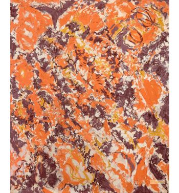 Bird Image, 1963