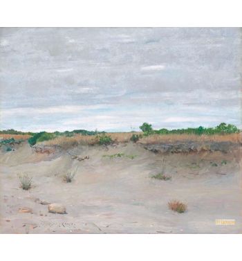 Windblown Sandy Beach