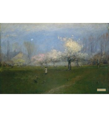 Spring Blossoms Montclair New Jersey
