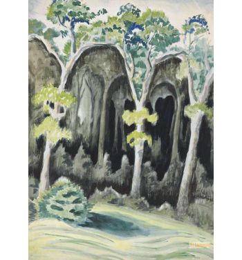 In the Deep Woods