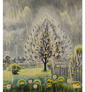 Sunshine and Rain