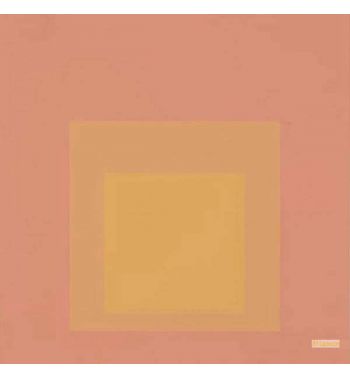 Tenuous From Homage To The Square Ten Works