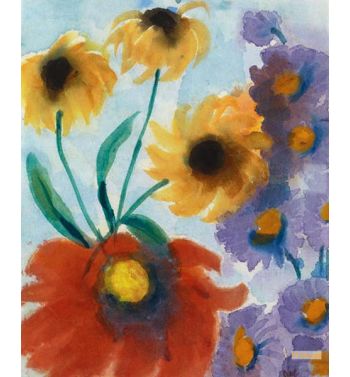 Red Yellow And Violet