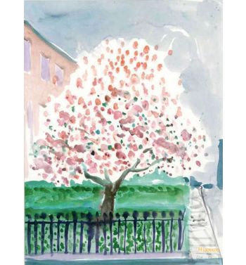 Magnolia Edwards Square, 2002