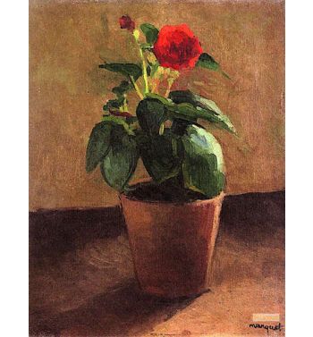 Pot Of Flowers, 1900
