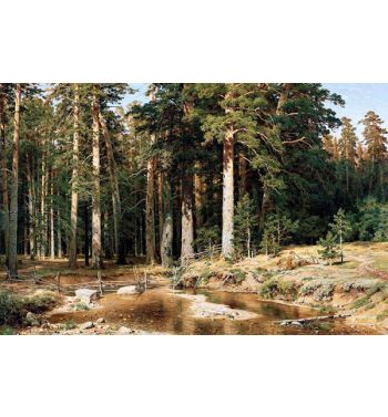 Mast Tree Grove 1898