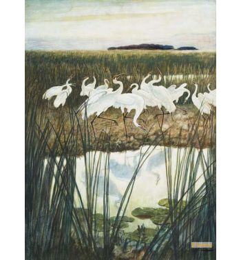 Dance Of The Whooping Cranes
